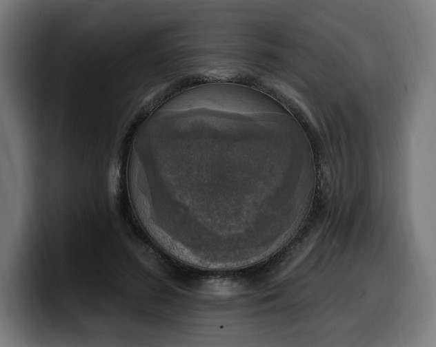 X0000100500596200806131438