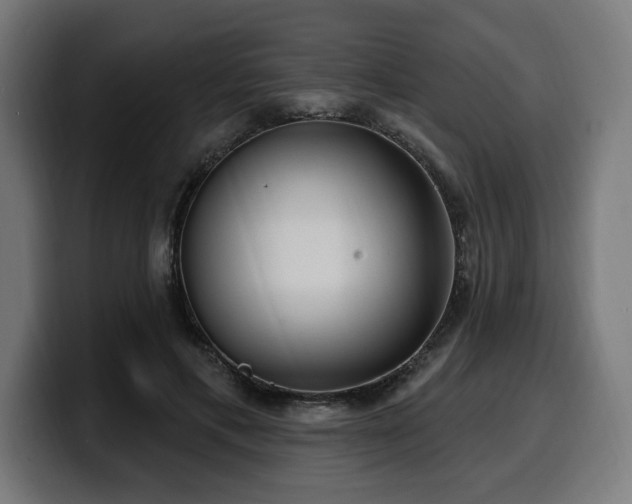 X0000100500597200806131438