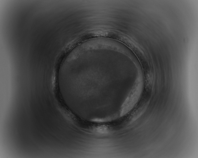 X0000100500600200806131438