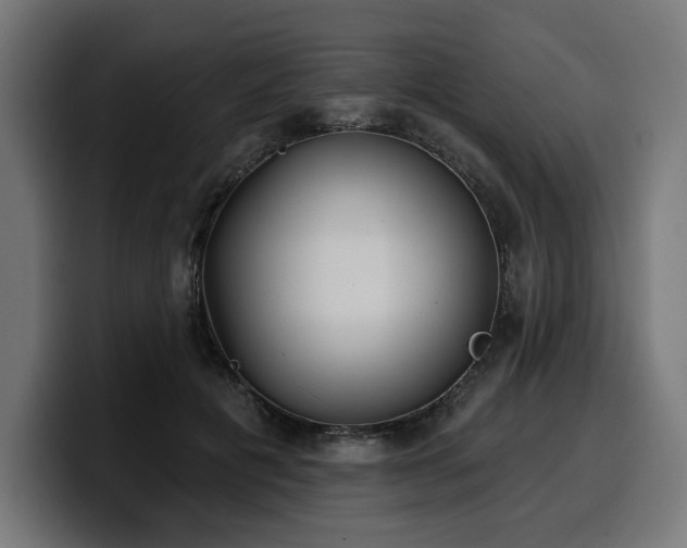 X0000100500601200806131438