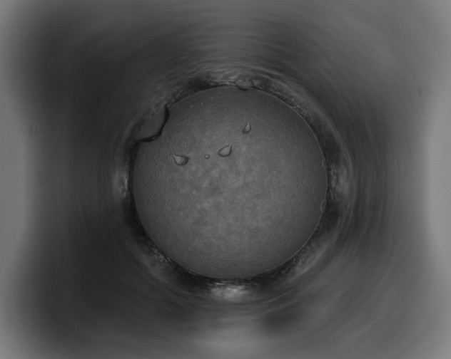 X0000100500602200806131438