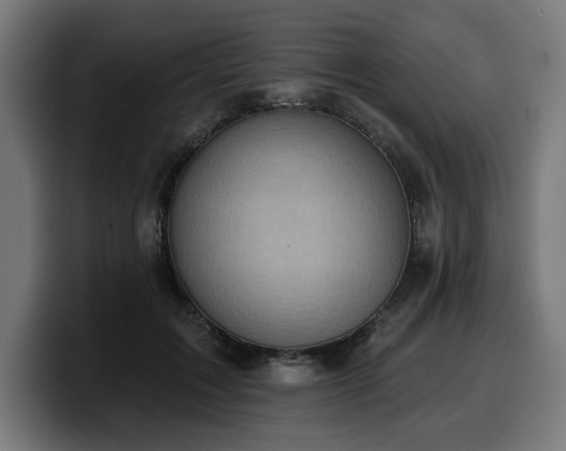 X0000100500603200806131438