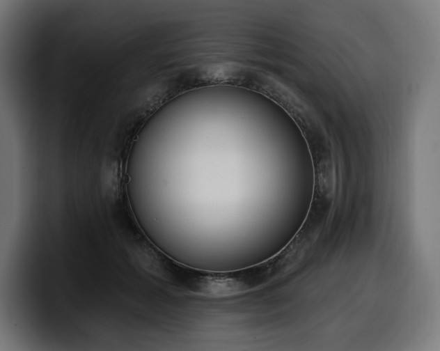 X0000100500605200806131438