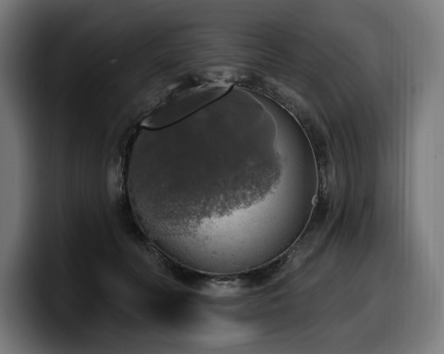 X0000100500606200806131438