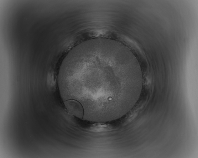 X0000100500607200806131438