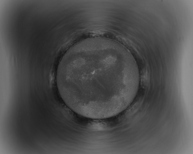 X0000100500608200806131438