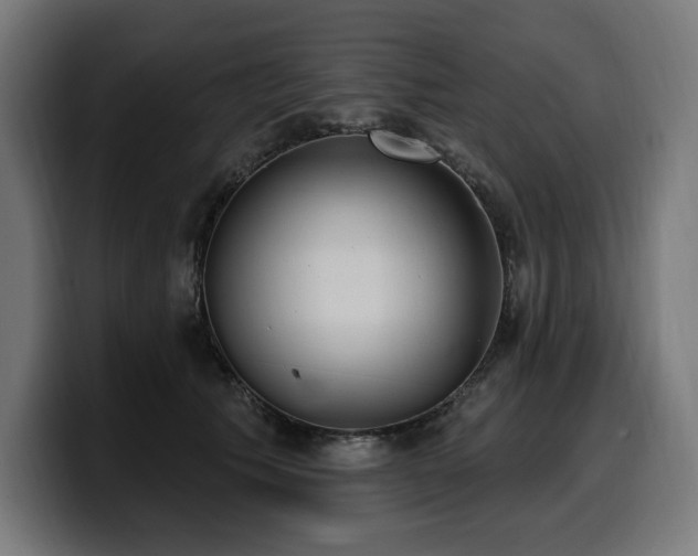 X0000100500609200806131438