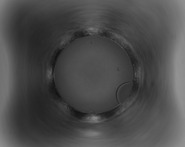 X0000100500610200806131438