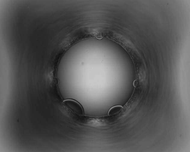 X0000100500611200806131438