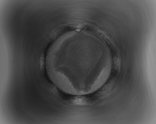 X0000100500612200806131438