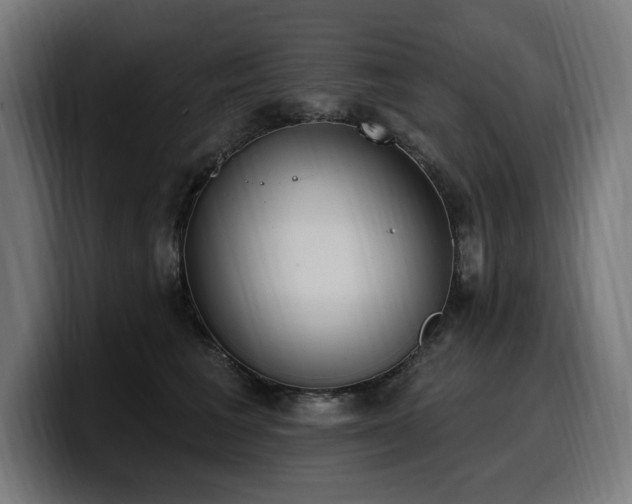 X0000100500613200806131438