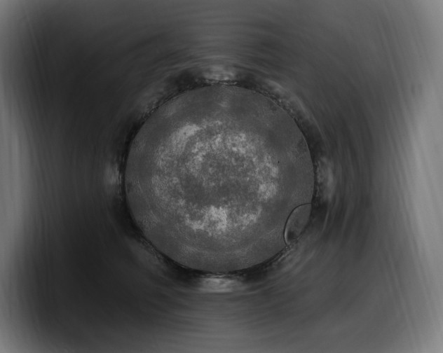 X0000100500614200806131438