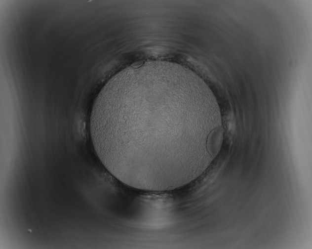 X0000100500615200806131438