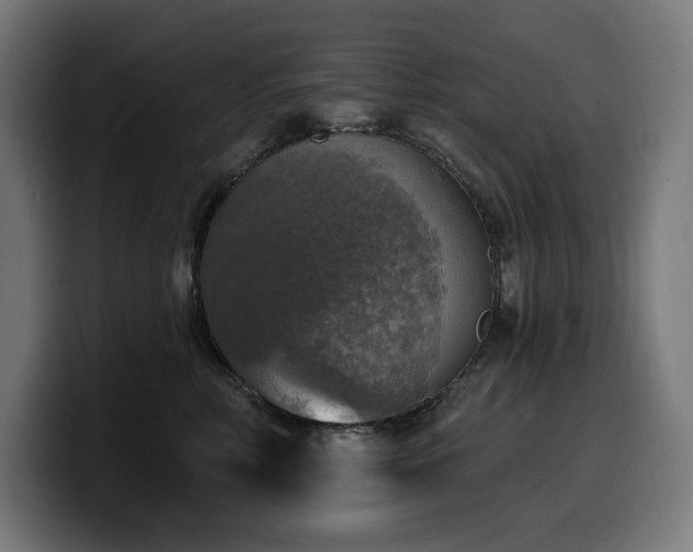 X0000100500618200806131437