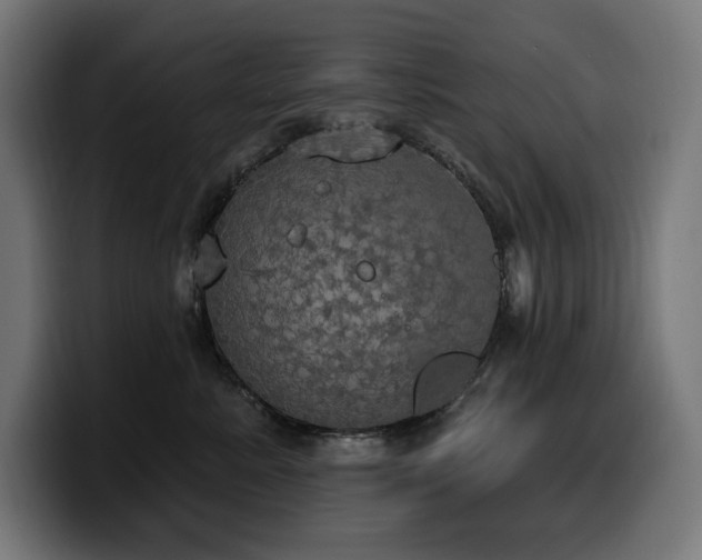 X0000100500619200806131437