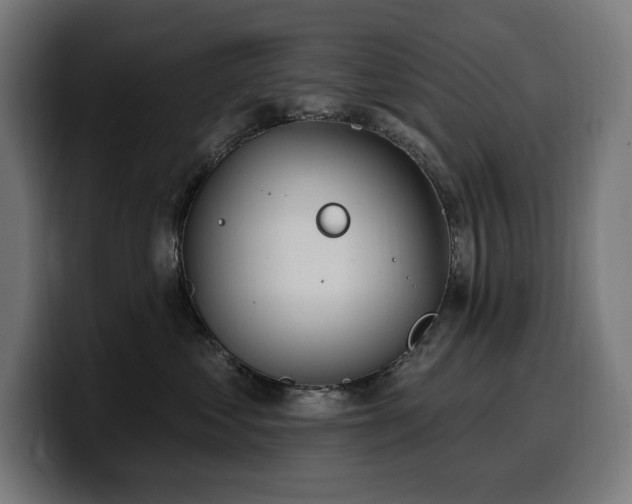 X0000100500621200806131437