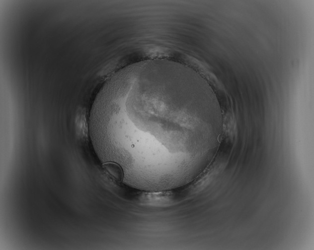 X0000100500622200806131437