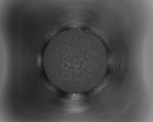 X0000100500623200806131437