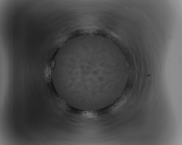 X0000100500624200806131437