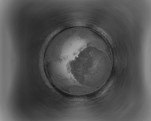 X0000100500625200806131437