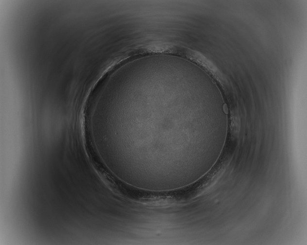 X0000100500626200806131437