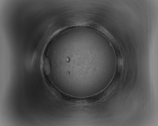 X0000100500628200806131437