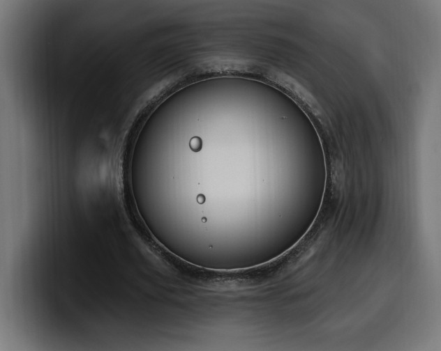 X0000100500629200806131437