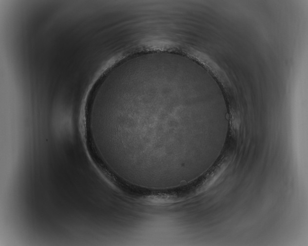 X0000100500630200806131437