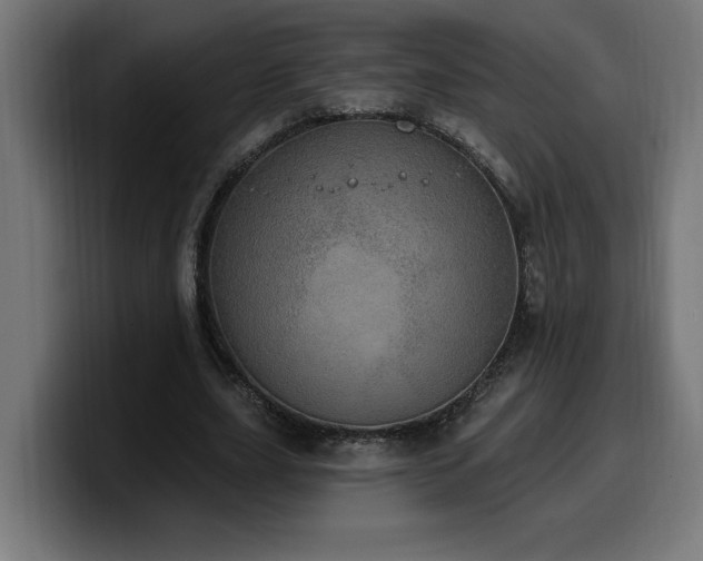 X0000100500631200806131437