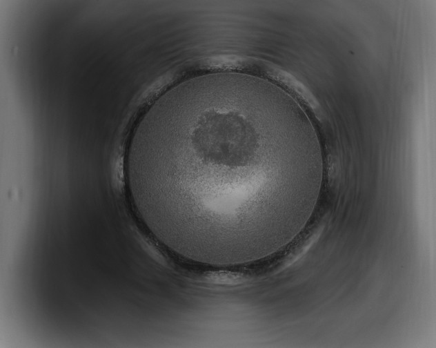 X0000100500633200806131437