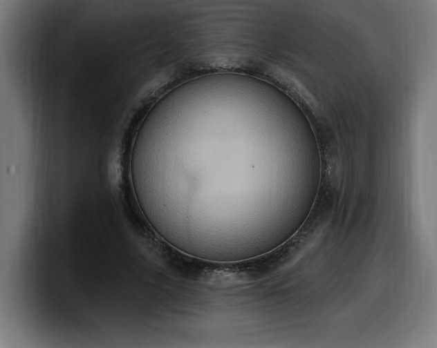 X0000100500635200806131437