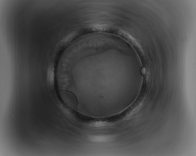 X0000100500637200806131437