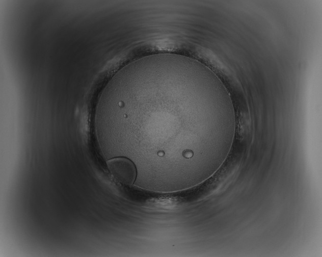 X0000100500639200806131437