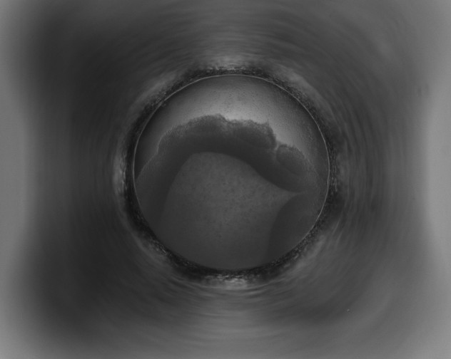 X0000100500640200806131437