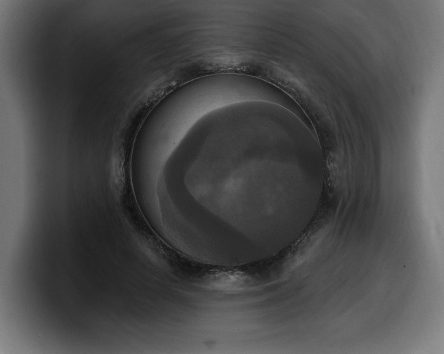 X0000100500642200806131437