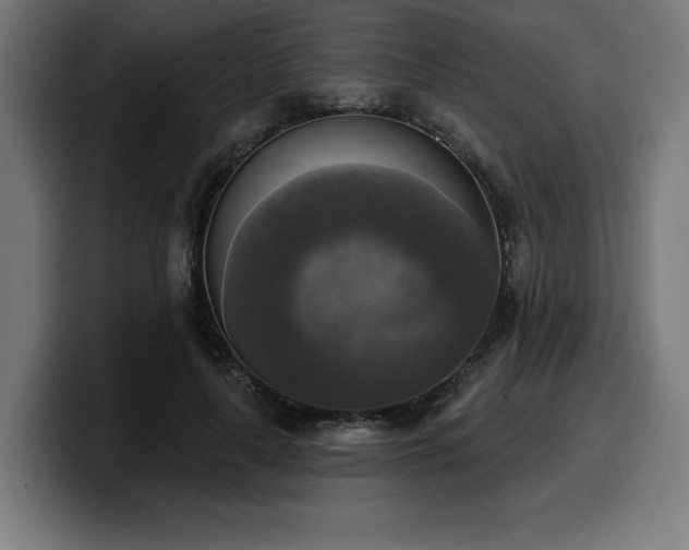 X0000100500643200806131437