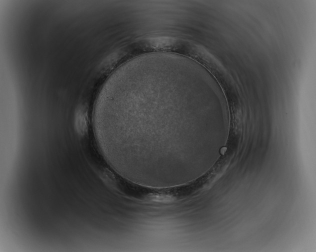 X0000100500644200806131437