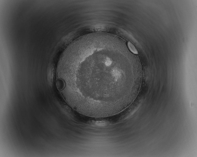 X0000100500645200806131437