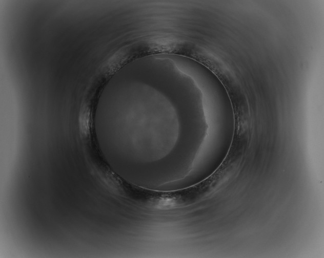 X0000100500647200806131437