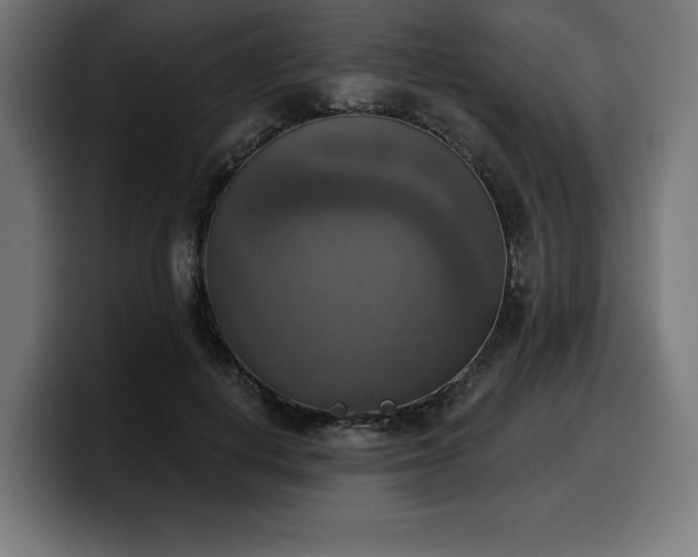 X0000100500648200806131437