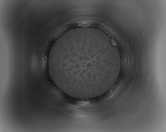 X0000100500649200806131437