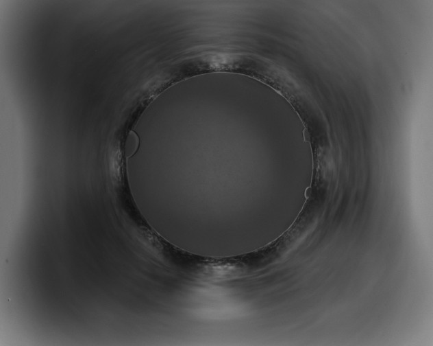 X0000100500650200806131437