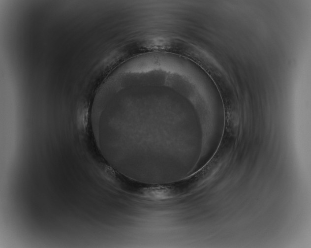 X0000100500652200806131437