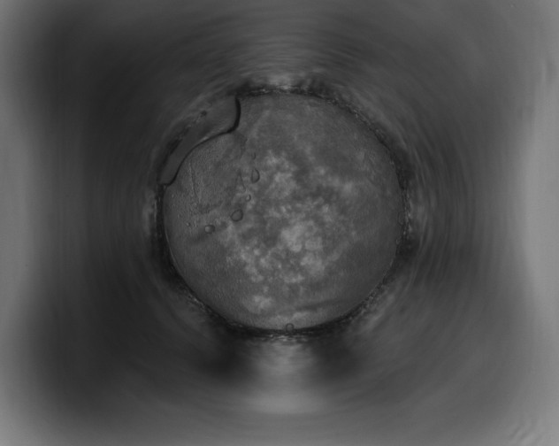 X0000100500656200806131437