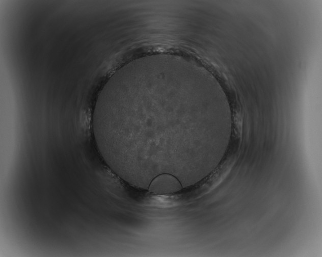 X0000100500657200806131437