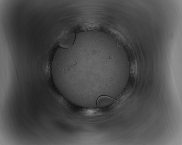 X0000100500662200806131437