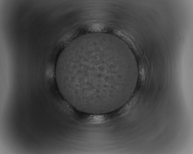 X0000100500665200806131437