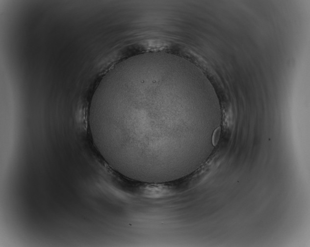 X0000100500666200806131437