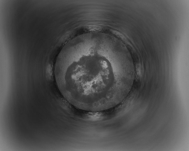 X0000100500667200806131437