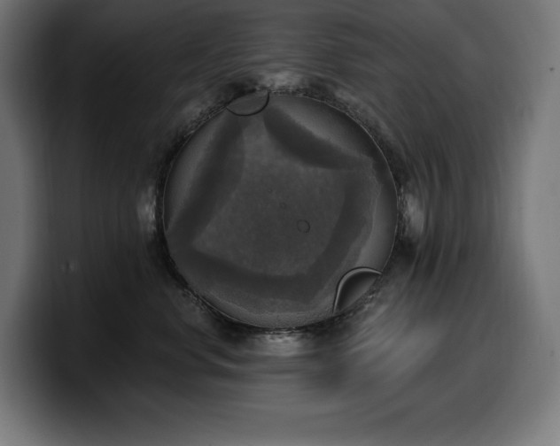 X0000100500668200806131437